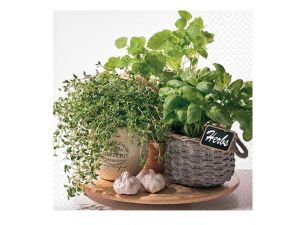 Ubrousek P 33x33 celorok SDL874000