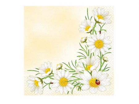 Ubrousek P 33x33 celorok TL315000