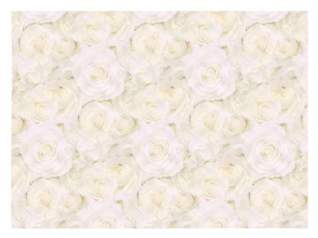 Balicí papír K348 100x70 LUX