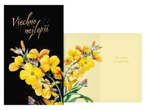 Přání srdečné M11-594 H