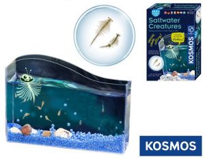 KOSMOS Vodní mazlíček žábronožka solná