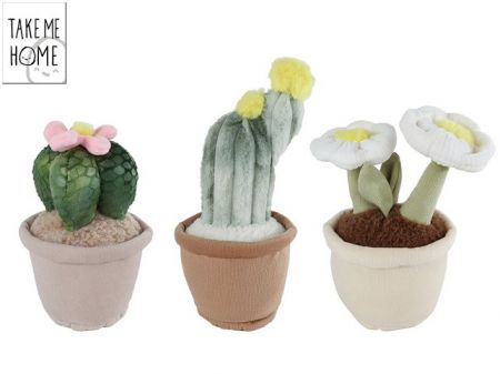 Take Me Home rostliny pokojové plyšové 18-25cm 3druhy 0m+