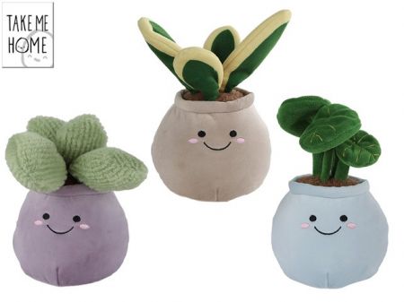 Take Me Home rostliny pokojové plyšové 18-22cm 3druhy 0m+