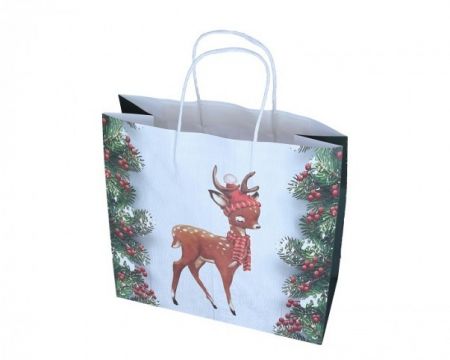 Dárková taška papírová 30cm/31cm/12cm