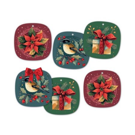 ALBI Dárková visačka 6 ks - Vánoční hvězda