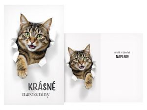 Přání srdečné M11-586 H