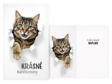 Přání srdečné M11-586 H