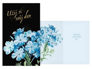 Přání srdečné M11-593 H