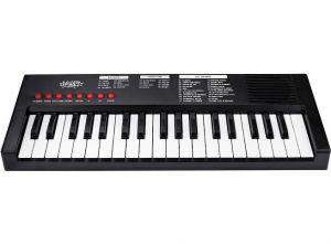 Klávesy s mikrofonem 40cm