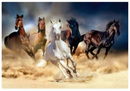Diamantové malování 40x30cm, Stádo koní<br />