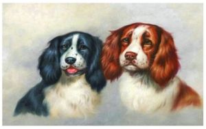 Diamantové malování 40x30cm, Psi<br /><br />