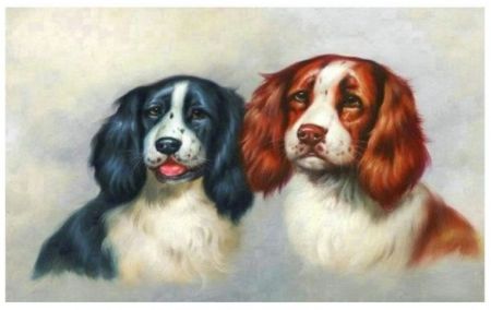 Diamantové malování 40x30cm, Psi<br /><br />
