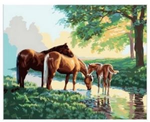 Diamantové malování 40x30cm, koně u vody<br /><br />