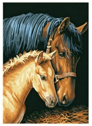 Diamantové malování 40x30cm, kůň s hříbětem <br /><br />