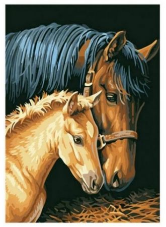 Diamantové malování 40x30cm, kůň s hříbětem <br /><br />