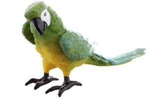 Papoušek zelený