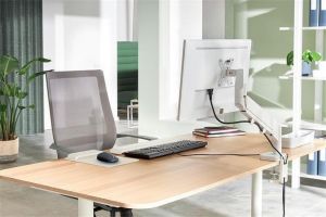 Držák na monitor "Ergo", světle šedá, 1 rameno, LEITZ 64890085