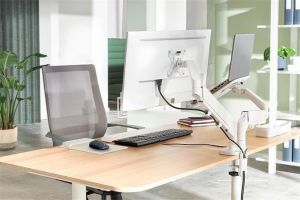 Držák na monitor a notebook "Ergo Dual", světle šedá, 2 ramena, LEITZ 65380085