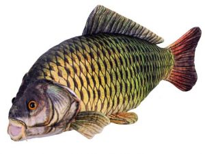 Kapr plyšový 52cm 0m+ v sáčku