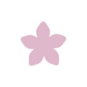 Děrovačka květ malá