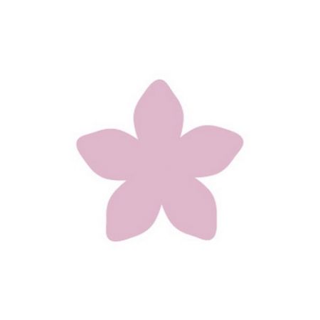 Děrovačka květ malá