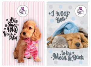 NOTES A7 štěně kokršpaněla