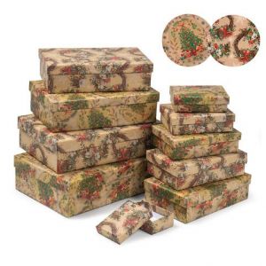 ARGUS Dárková krabice vánoční natur kraft 22,4x14,4x6,3cm 25381184