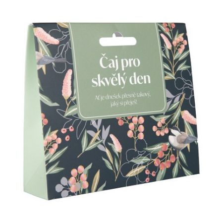 ALBI Dárkový čaj - Pro skvělý den