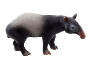 Tapír