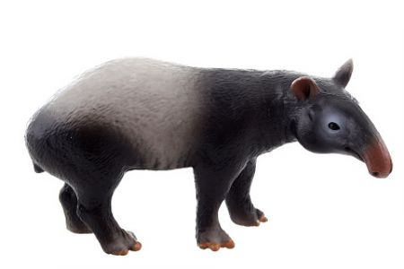 Tapír