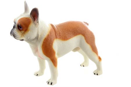 Pes francouzský buldoček