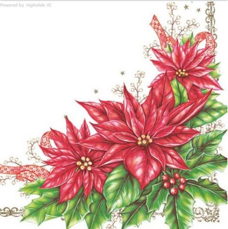 Ubrousky DAISY Elegant Poinsettie