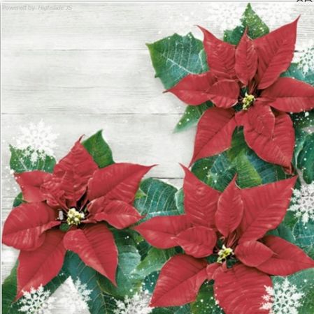 Ubrousky Daisy vánoční Red Poinsettias Frame