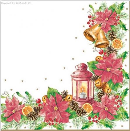 Ubrousky MAKI Watercolour Poinsettia Frame