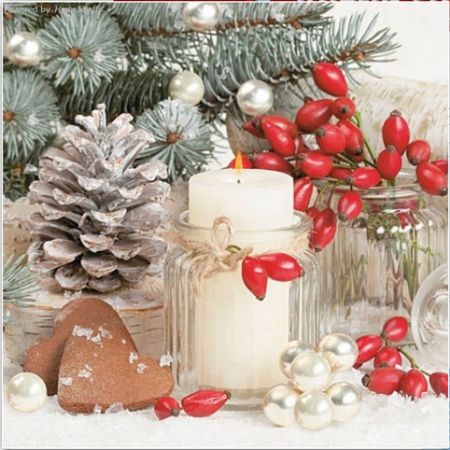 Ubrousky MAKI Watercolour Poinsettia Frame