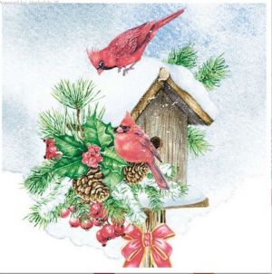 Ubrousky Maki vánoční Bird House with Red Cardinals