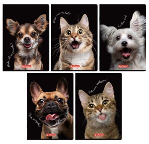 Sešit A5 60 listů Crazy Animal linkovaný.