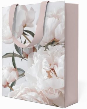 Papírová taška Anna Style TP3 263 velká