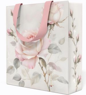 Papírová taška Anna Style CD TE7/258