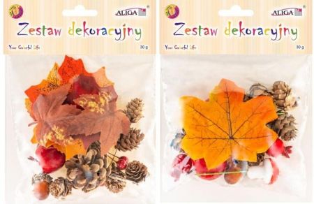 Dekorace podzimní mix 30 g