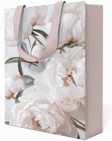 Papírová taška Anna Style TP1 263 střední