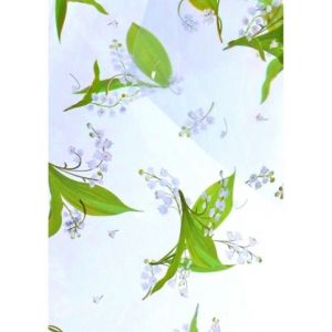 Celofán Muguet 100 x 130 cm