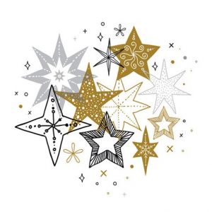 Ubrousky DAISY L (20ks) Chic Stars Collection