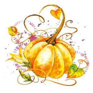 Ubrousky DAISY L (20ks) Mature Pumpkins