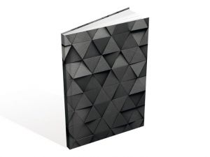 Záznamová kniha A5 MFP 100l/linka ZL5104