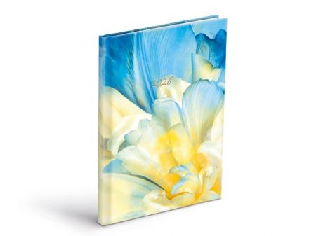 Diář týdenní T805 Lamino 3 2026 / 20,5cm x 14cm / 7781463