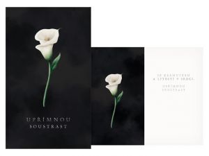 Přání kondolenční M13-087 T