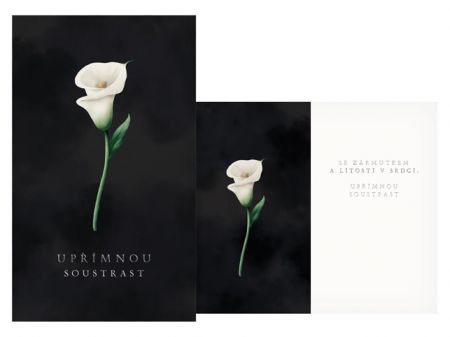 Přání kondolenční M13-087 T