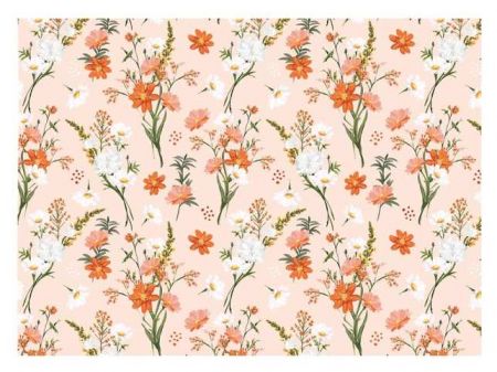 Balící papír K335 100x70 LUX