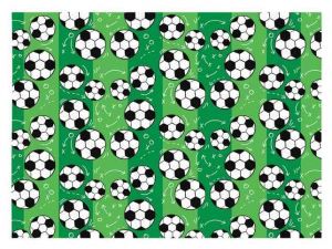 Balící papír D079 100x70 LUX